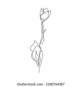 Abstract Flower Tulip continuous line drawing art singulart aesthetic simple Perfect for print, wall decor, phone case, shirt, sticker, pillow, acrylic, border, wallpaper, wedding