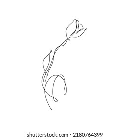 Abstract Flower Tulip continuous line drawing art singulart aesthetic simple Perfect for print, wall decor, phone case, shirt, sticker, pillow, acrylic, border, wallpaper, wedding