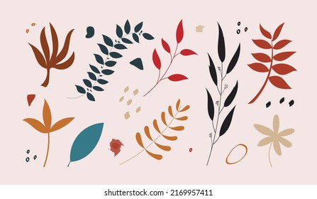 Resumen de colección de vectores de flores. linda ilustración floral de clipart. elemento botánico para la decoración de diseño.
