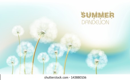 Abstract flower vector dandelion