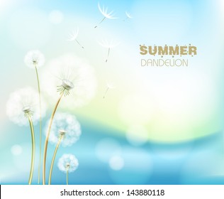 Abstract flower vector dandelion