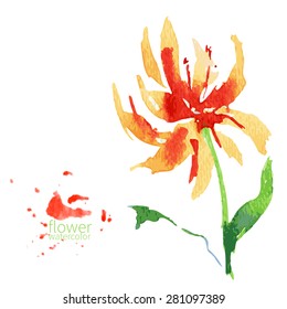 Abstract flower watercolor vector illustration isolated on white background, hand drawn sketch for design package cosmetic, pattern, greeting card, wedding invitation, florist shop, printing, beauty