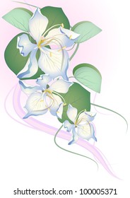 Abstract flowers background with place for your text on isolate white
