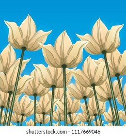 Abstract flowers, bottom view against the blue sky, vector illustration, colorful drawing. Drawn yellow white buds, petals and flower stalks growing upwards to the sunny sky. Floral background, card