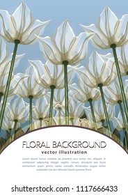 Abstract flowers bottom view, vector illustration, colorful drawing. Drawn white buds, petals and stalks growing upwards against the background of the forest and sky and text. Floral card, banner