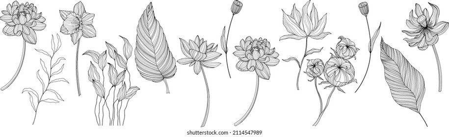 Abstract flowers isolated on white. Hand drawn line vector illustration. Eps 10