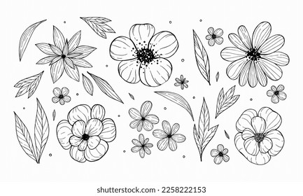 abstract flowers and leaves hand drawn. petals and buds scattered around the background. flower sketches.