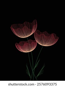 abstract flowers on black background