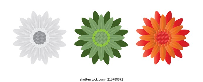 Abstract Flowers on White Background. Vector Illustration. EPS10