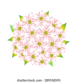 Abstract flowers. Spring. Mesh. White flowers on white background. Wedding bouquet