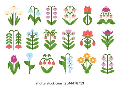 Abstract flowers. Symmetrical floral doodles, spring snowdrop, daisies, tulips and bluebells plants with flower and leaves. Botanical decorations vector illustrations set.