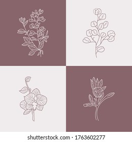Abstract Flowers Vector Signs or Logo Templates. Retro Floral Illustration with Classy Typography. Feminine Logo. Modern Logo Template for florist, photographer, fashion blogger, design studio.