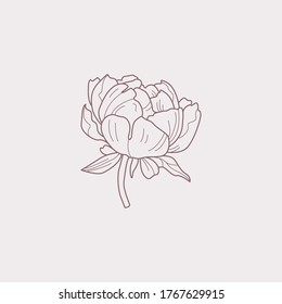 Señales de vectores de flores abstractas o plantillas de logotipos. Ilustración floral retro con tipografía clásica. Logo Femenino. Plantilla moderna de logotipo para florista, fotógrafo, blogger de moda, estudio de diseño.