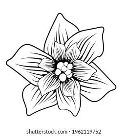Abstract flowers for web backdrop design. Vintage cover design with black flowers on white background for decoration.