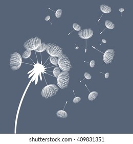 Abstract fluffy dandelion flower. Vector illustration 