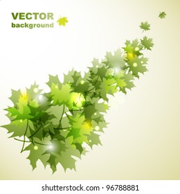 Abstract fly leafs vector background