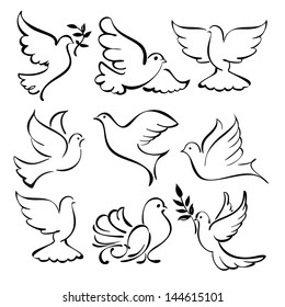 abstract flying dove sketch set vector  illustration