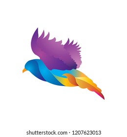 abstract flying eagle logo element