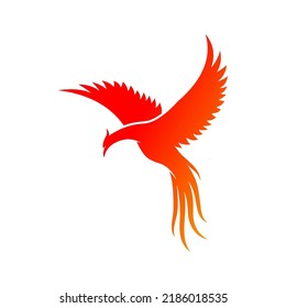 abstract flying phoenix logo template