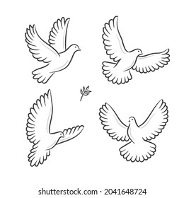 Abstract flying white dove vector collection