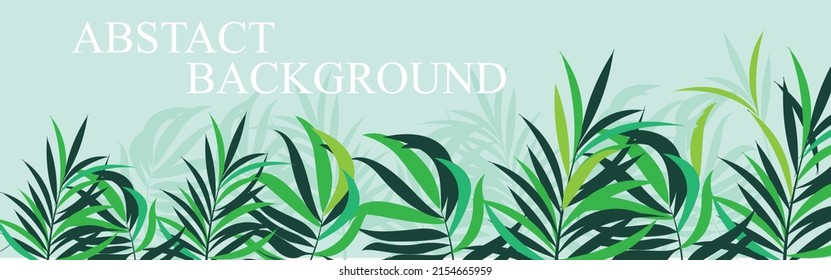 Follaje abstracto y fondo botánico. Papel pintado verde de selva tropical de hojas de monstera, palma, ramas dibujadas a mano. Fondo de plantas exóticas para banners, impresiones, decoración, arte mural