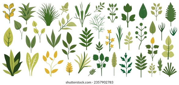 Abstract foliage collection. Botanical futuristic elements in flat style isolated on white background. Vector illustration
