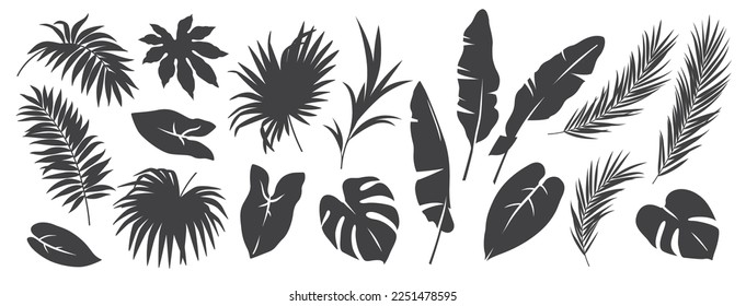 Abstract foliage elements isolated on a white background. Tropical leaves set. Collection of black and white graphic silhouettes. 