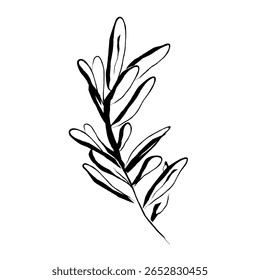 Abstract Foliage Olive Leaves Branch Hand Drawn Template. Botanical Art of Olive Branch with Leaves. Vector Illustration Hand Drawn Design for Prints, Wallpaper, Banner, Home Interior, Poster. Not AI