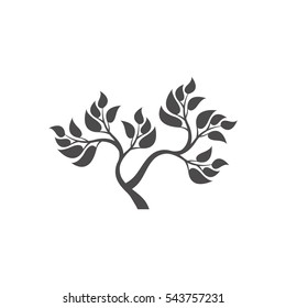 Abstract foliate element.  Deciduous ornament. Abstract tree.