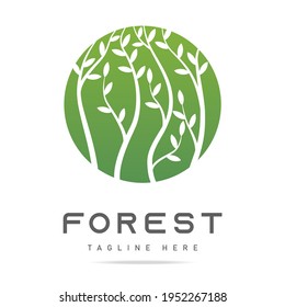 Abstract forest icon, national park logo, garden sign, symbol nature in circle with floral green tree branches with leaves on white background.Design template spring logotype.Vector isolated