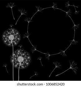 Abstract frame of a dandelion for design. The wind blows the seeds of a dandelion. Template for posters, postcards. Vector illustrations.
