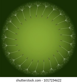 Abstract frame of a dandelion for design. The wind blows the seeds of a dandelion. Template for posters, postcards. Vector illustrations.