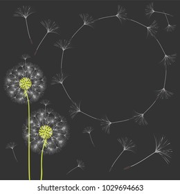 Abstract frame of a dandelion for design. The wind blows the seeds of a dandelion. Template for posters, postcards. Vector illustrations.