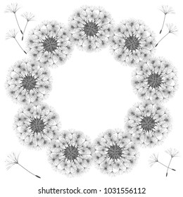 Abstract frame of a dandelion for design. The wind blows the seeds of a dandelion. Template for posters, postcards. Vector illustrations.