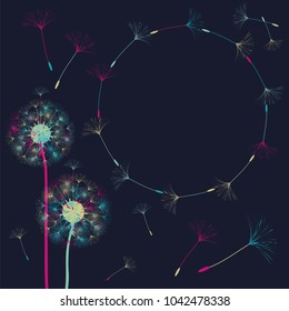 Abstract frame of a dandelion for design. The wind blows the seeds of a dandelion. Template for posters, postcards. Vector illustrations.