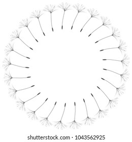Abstract frame of a dandelion for design. The wind blows the seeds of a dandelion. Template for posters, postcards. Vector illustrations.