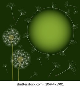 Abstract frame of a dandelion for design. The wind blows the seeds of a dandelion. Template for posters, postcards. Vector illustrations.