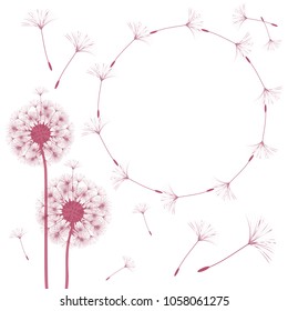 Abstract frame of a dandelion for design. The wind blows the seeds of a dandelion. Template for posters, postcards. Vector illustrations.