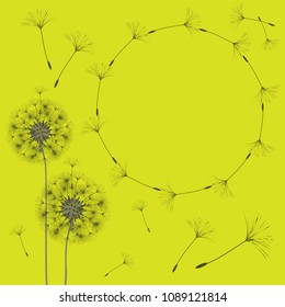 Abstract frame of a dandelion for design. The wind blows the seeds of a dandelion. Template for posters, postcards. Vector illustrations.