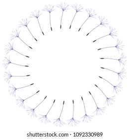 Abstract frame of a dandelion for design. The wind blows the seeds of a dandelion. Template for posters, postcards. Vector illustrations.