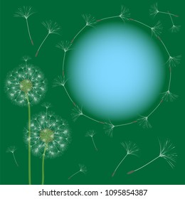 Abstract frame of a dandelion for design. The wind blows the seeds of a dandelion. Template for posters, postcards. Vector illustrations.