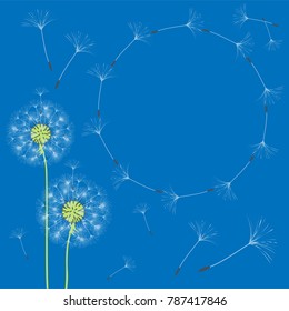 Abstract frame of a dandelion for design. The wind blows the seeds of a dandelion. Template for posters, postcards. Vector illustrations.