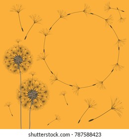 Abstract frame of a dandelion for design. The wind blows the seeds of a dandelion. Template for posters, postcards. Vector illustrations.
