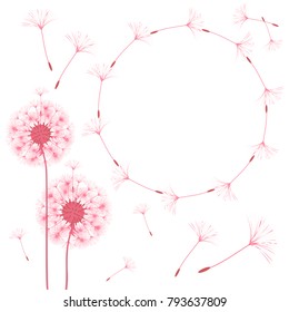 Abstract frame of a dandelion for design. The wind blows the seeds of a dandelion. Template for posters, postcards. Vector illustrations.