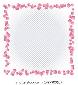 Abstract frame of falling pink rose petals on transparent background. Vector illustration suitable for valentines day design, wedding design, birthday