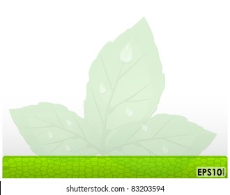 Abstract frame with green mosaic panel, foliage and dew