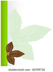 Abstract frame with green mosaic panel, wooden leaf and ladybug