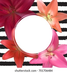 Abstract Frame with Lily Flover. Natural Background. Vector Illustration EPS10