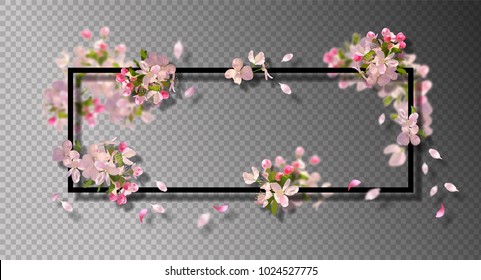 Abstract frame with spring flowers. Vector background with spring cherry blossom, falling petals and blurred transparent elements