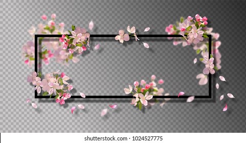 Abstract Frame With Spring Flowers. Vector Background With Spring Cherry Blossom, Falling Petals And Blurred Transparent Elements